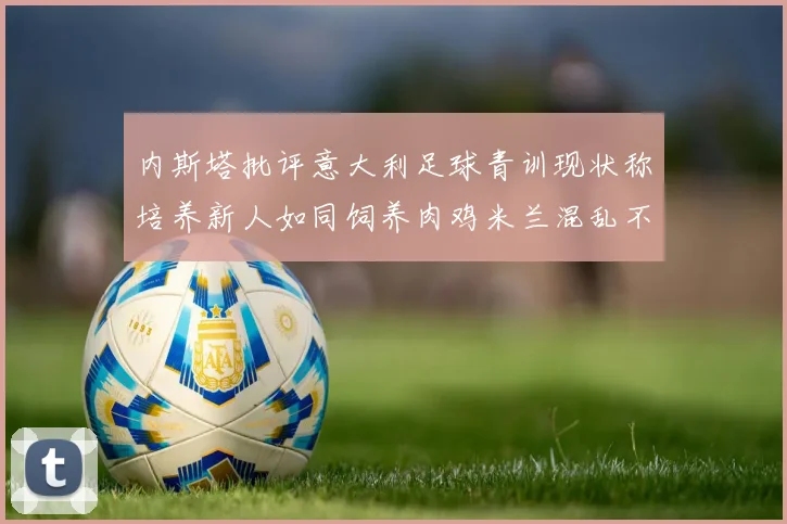 内斯塔批评意大利足球青训现状称培养新人如同饲养肉鸡米兰混乱不堪