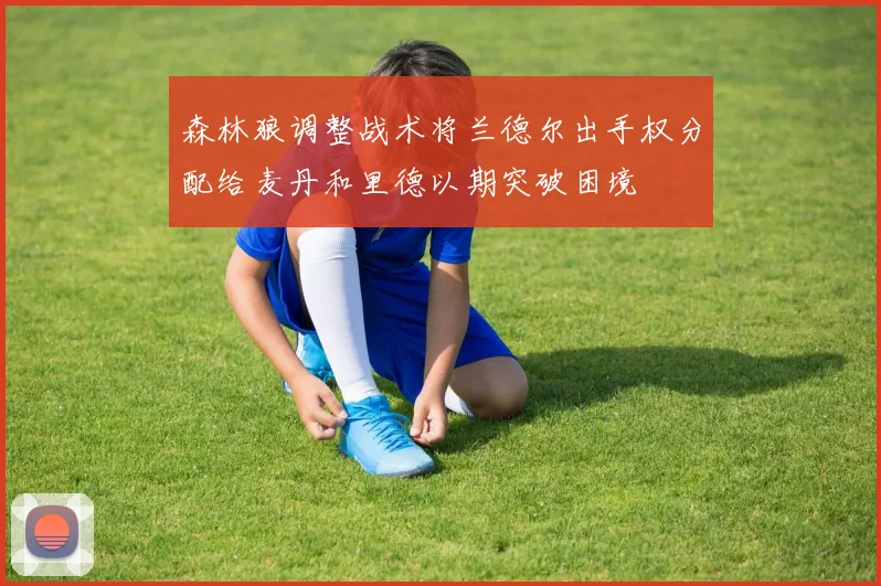 森林狼调整战术将兰德尔出手权分配给麦丹和里德以期突破困境