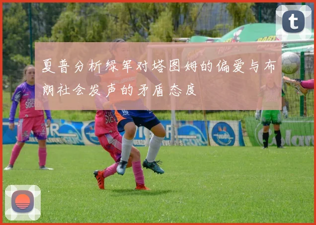 夏普分析绿军对塔图姆的偏爱与布朗社会发声的矛盾态度
